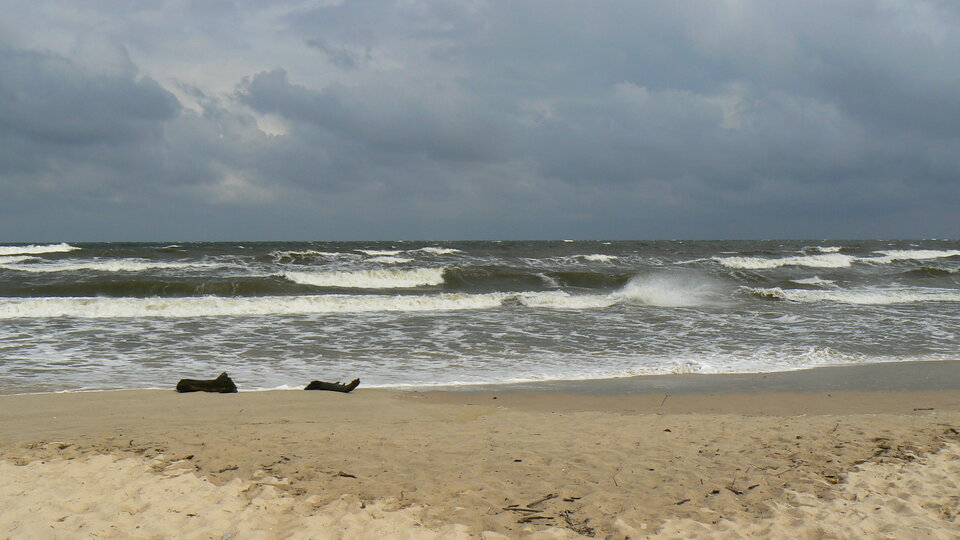 P1140875.JPG - matmartifer