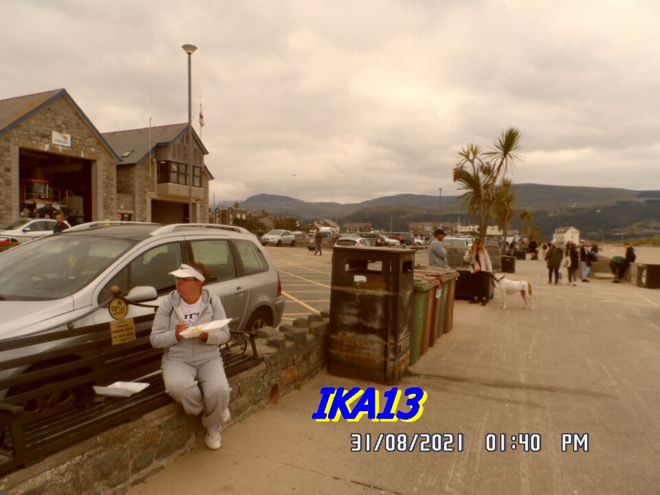 SAM_3723.JPG - ika13