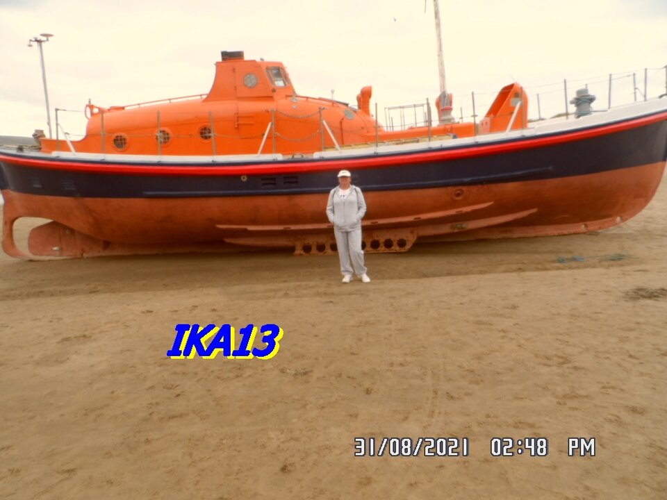 SAM_3724.JPG - ika13