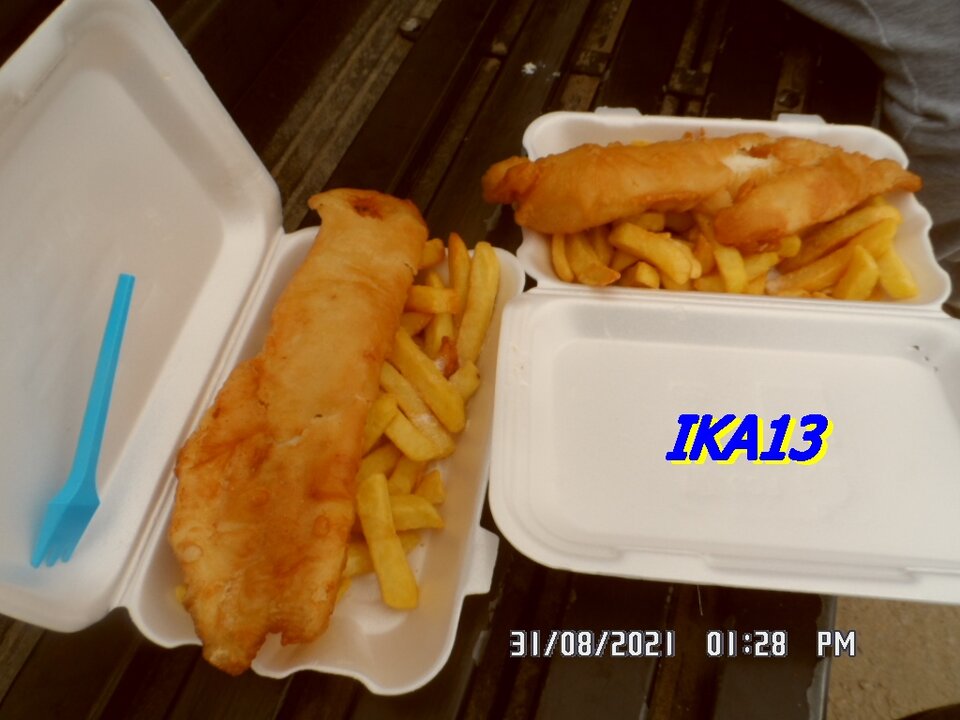 SAM_3722.JPG - ika13