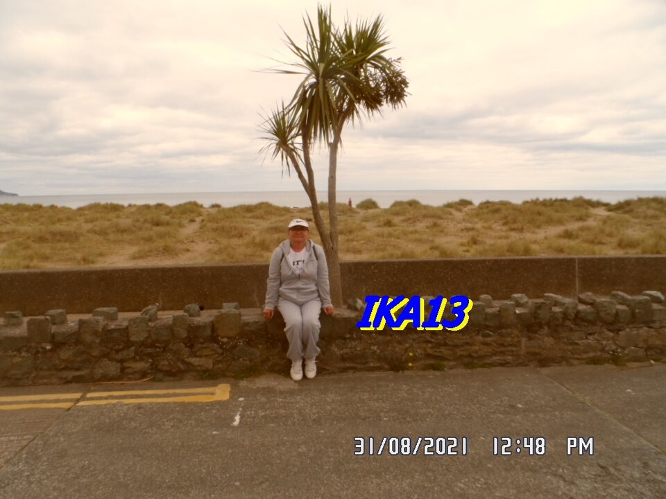 SAM_3720.JPG - ika13