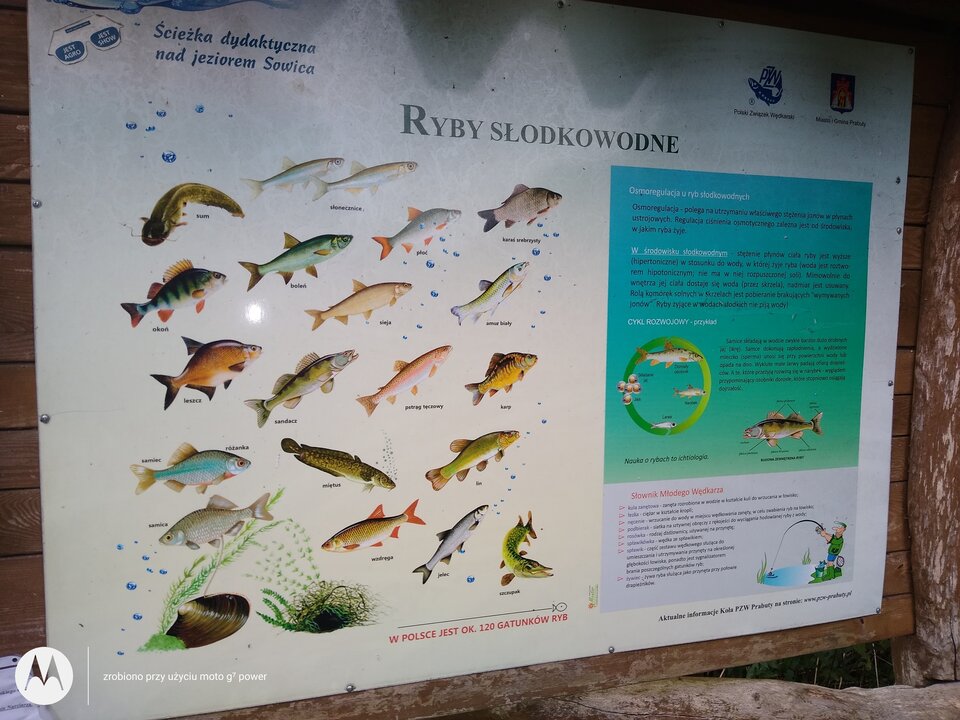 IMG_20210830_182520144.jpg - rafi07