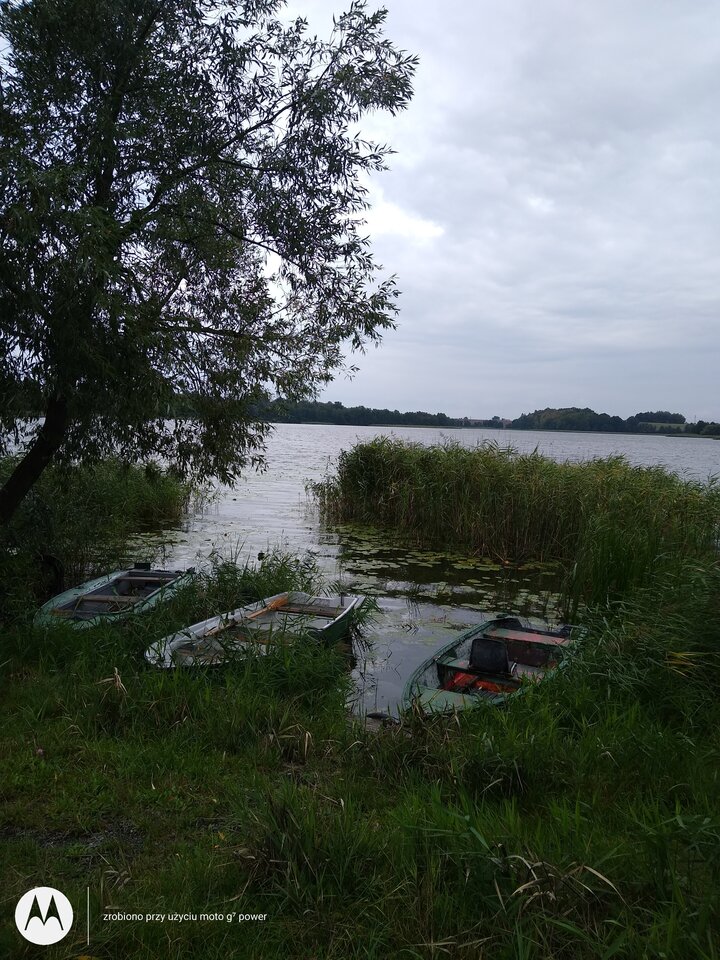 IMG_20210830_182447175.jpg - rafi07