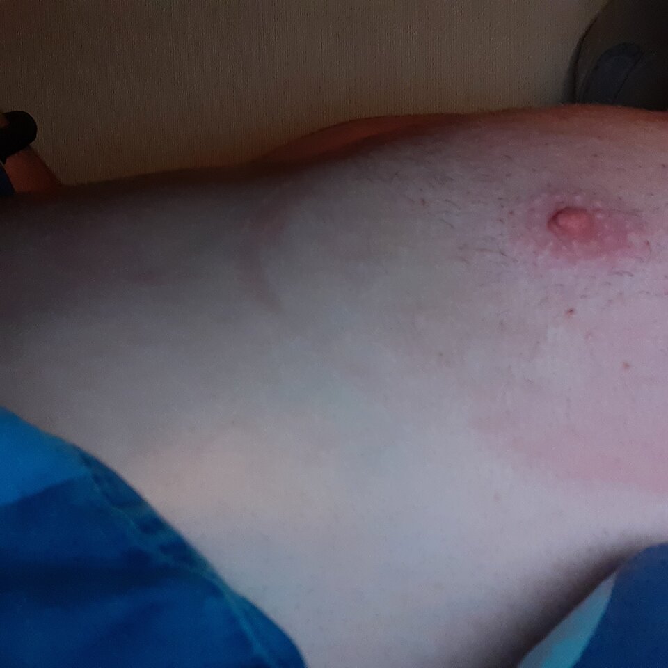 16304399671957567215428431164145.jpg - Palciusia