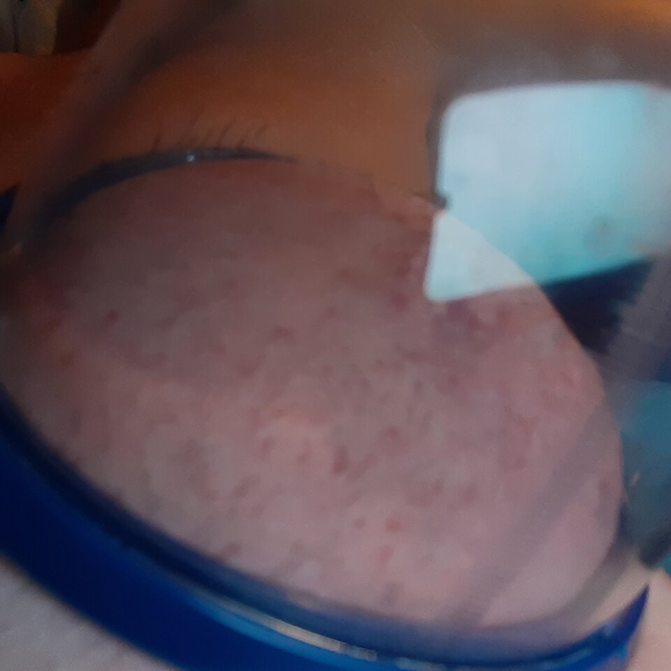 16304402250564792185361551676275.jpg - Palciusia