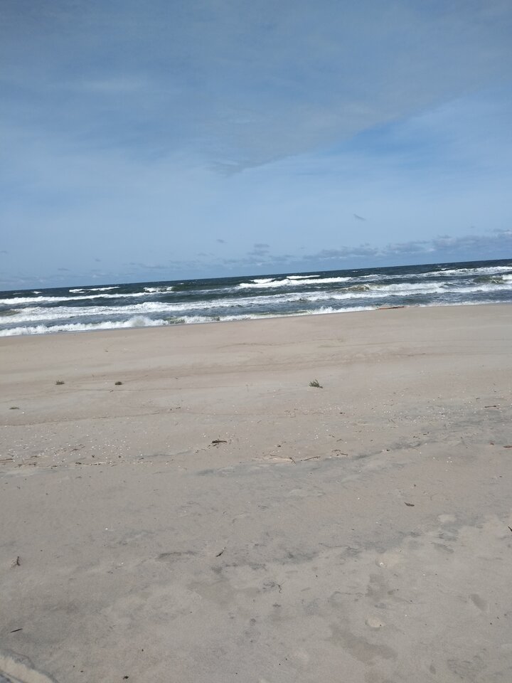 IMG_20210901_125234673.jpg - wawamybi