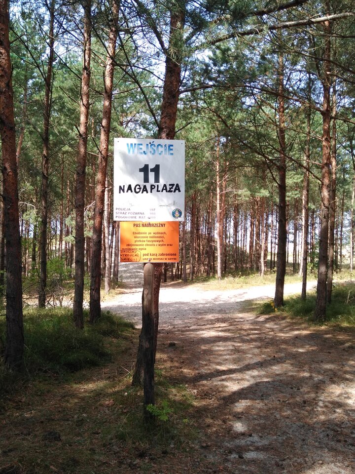 IMG_20210901_123610251.jpg - wawamybi