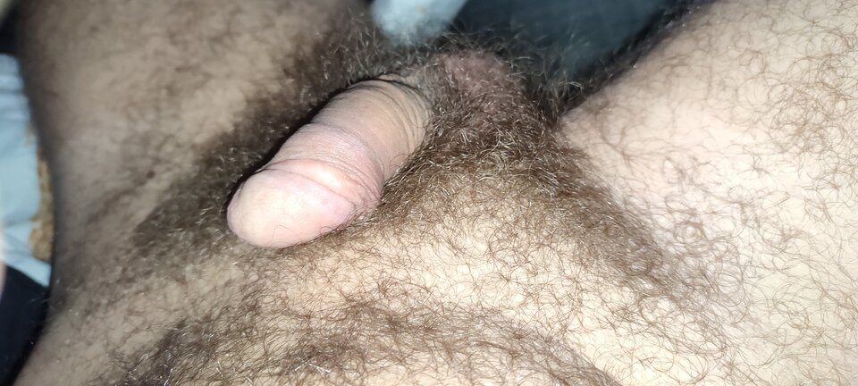 16305550067685042529602028241824.jpg - Nowicjusz33