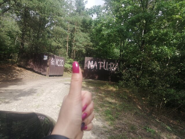 Samica98