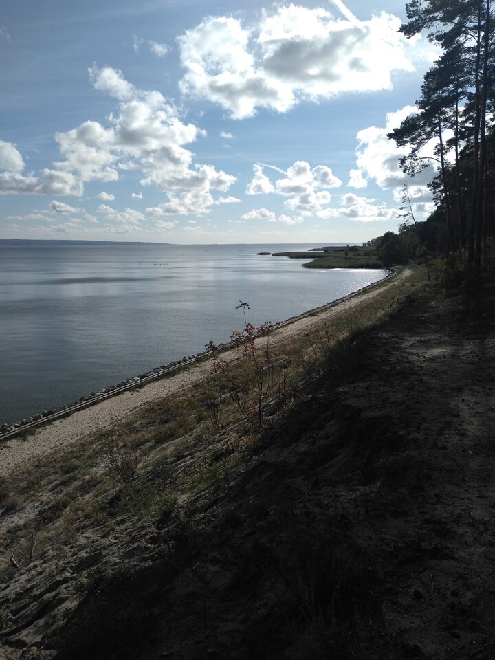 IMG_20210902_161733104.jpg - wawamybi