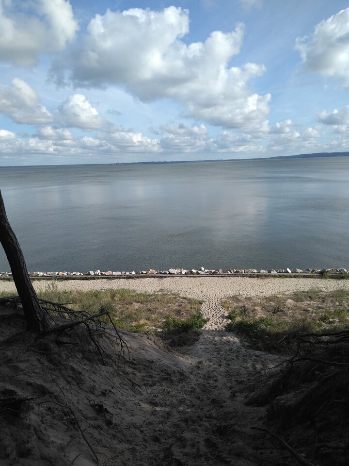 IMG_20210902_161538077.jpg - wawamybi