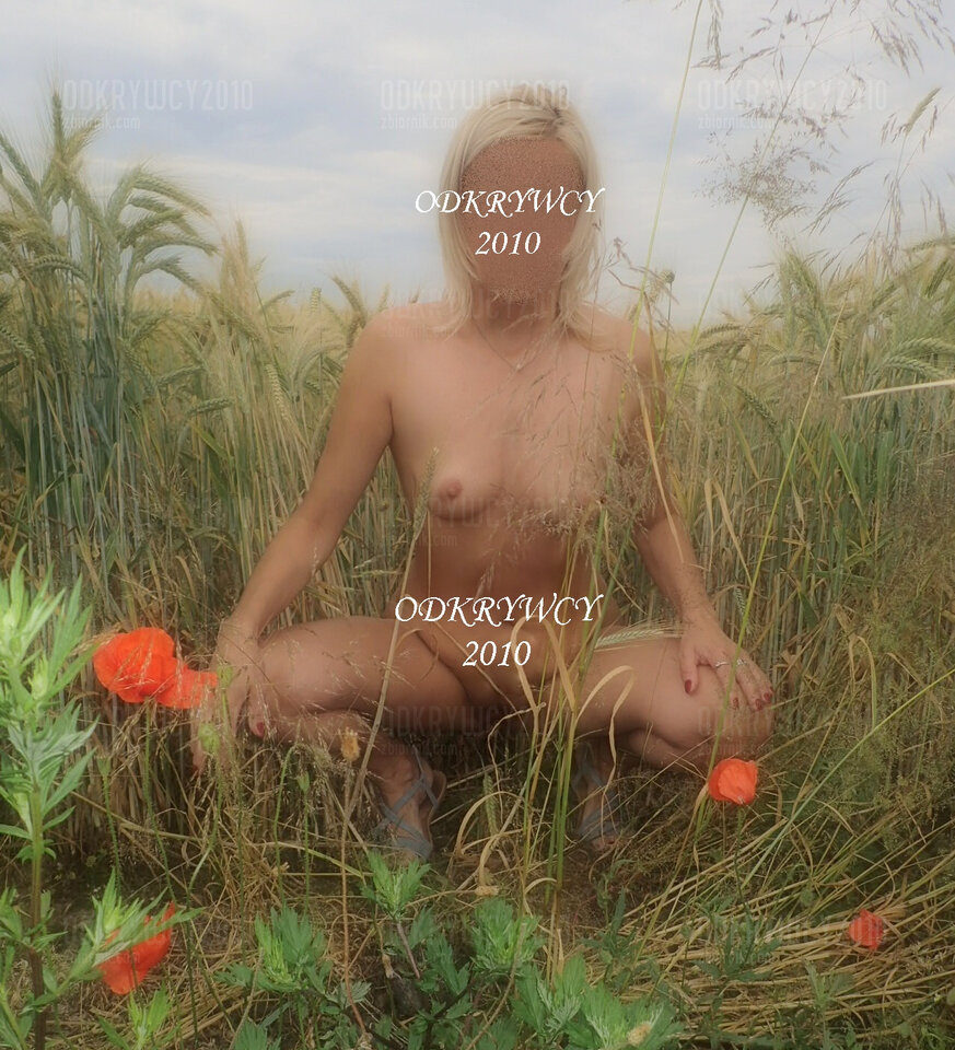 Polne kwiaty - Odkrywcy2010