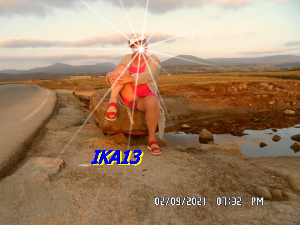 SAM_3737.JPG - ika13