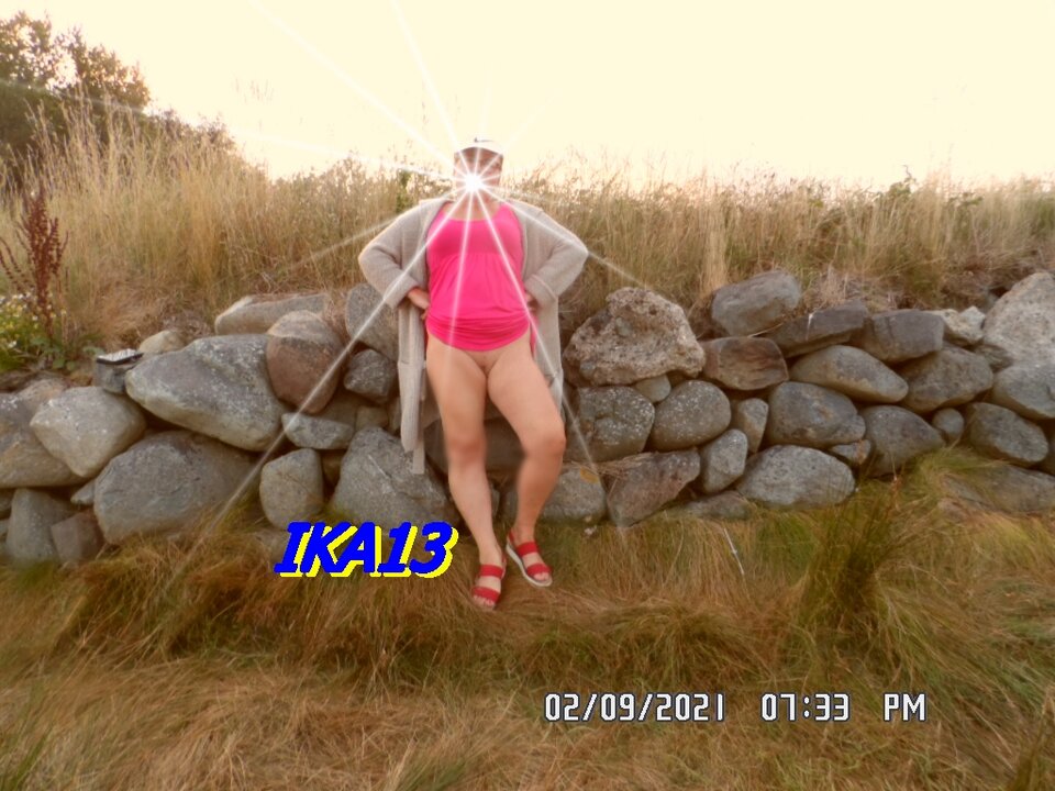 SAM_3738.JPG - ika13