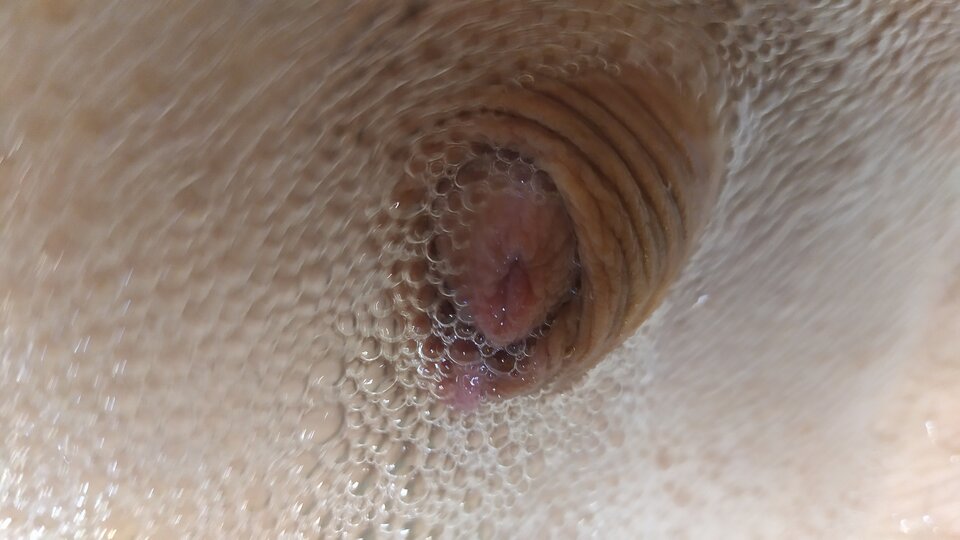 1630646540148199098086955563491.jpg - matuzalem000