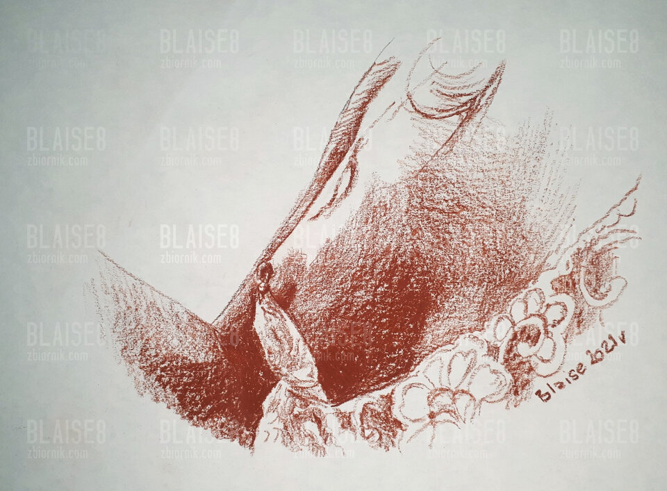 Art. No. 102 - blaise8