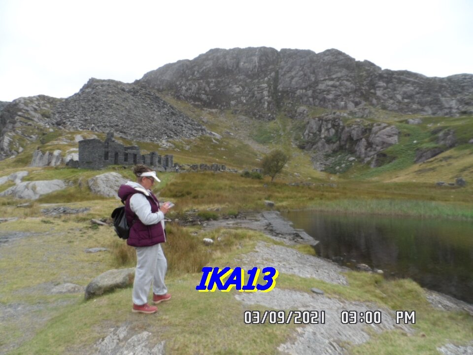 SAM_3747.JPG - ika13