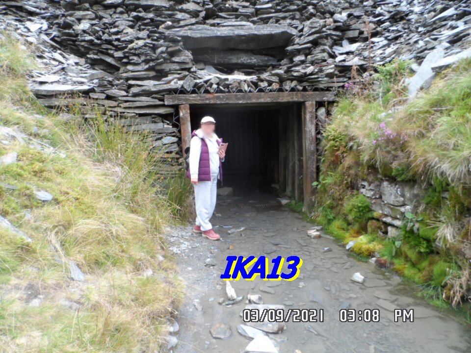 SAM_3748.JPG - ika13