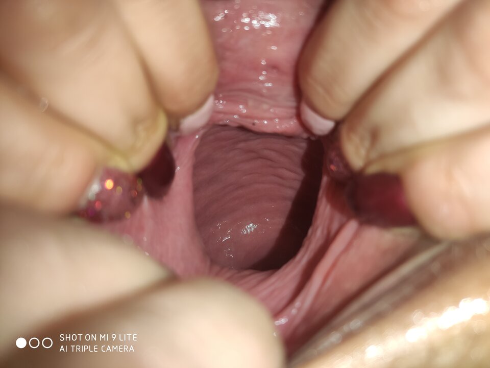 IMG_20200129_220928.jpg - Narnia1242