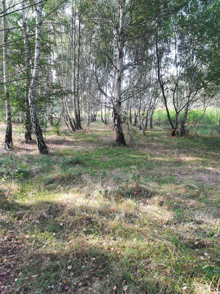 16307377694938540926730893642568.jpg - wojtek198228