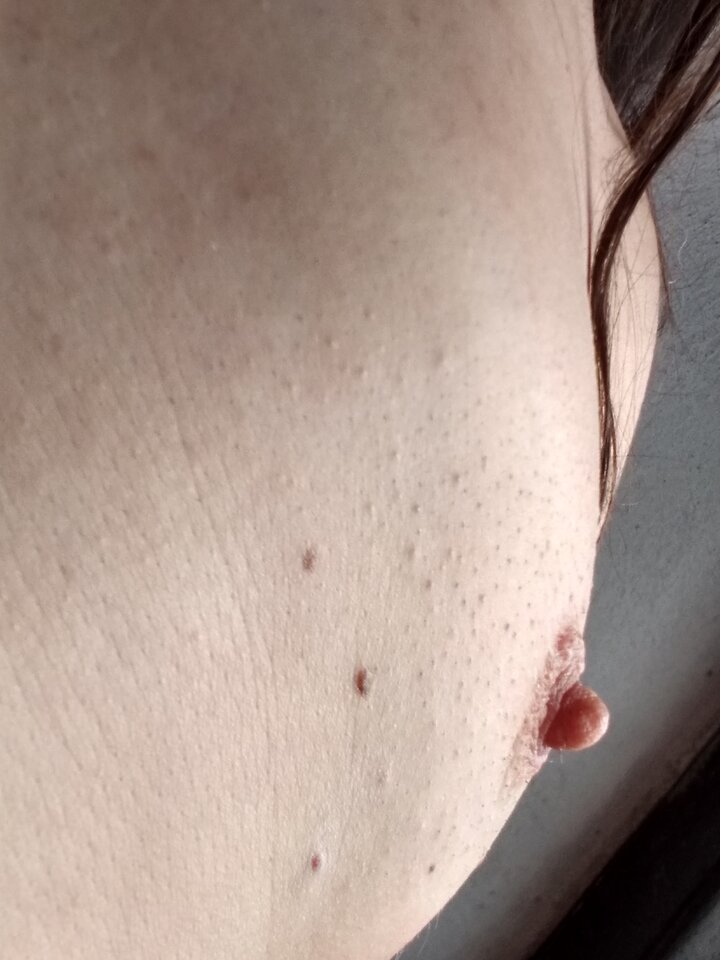 IMG_20210904_101643430_HDR.jpg - 48starszy48