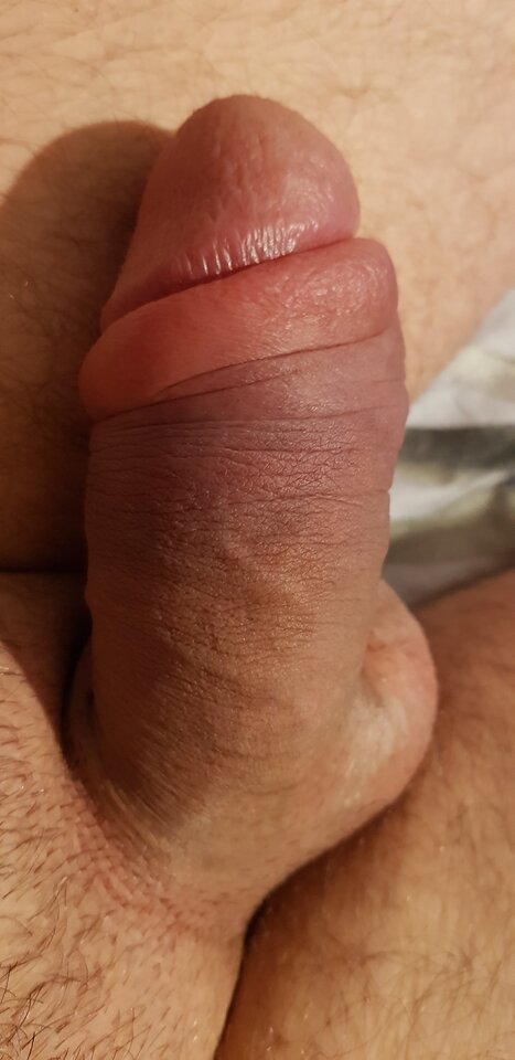 20210904_111350.jpg - arek00x