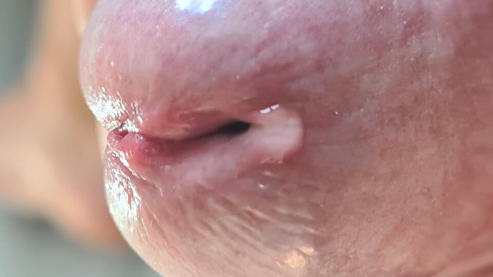 20210904_165312.jpg - Limonmale