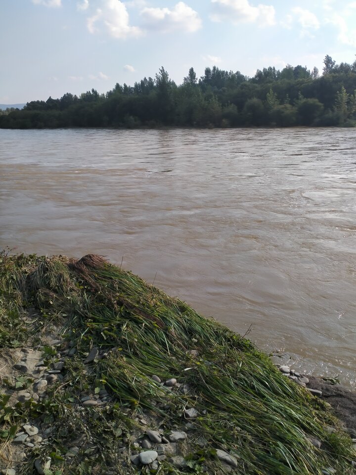 IMG20210904162153.jpg - maniana35