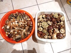 20210904_172820.jpg