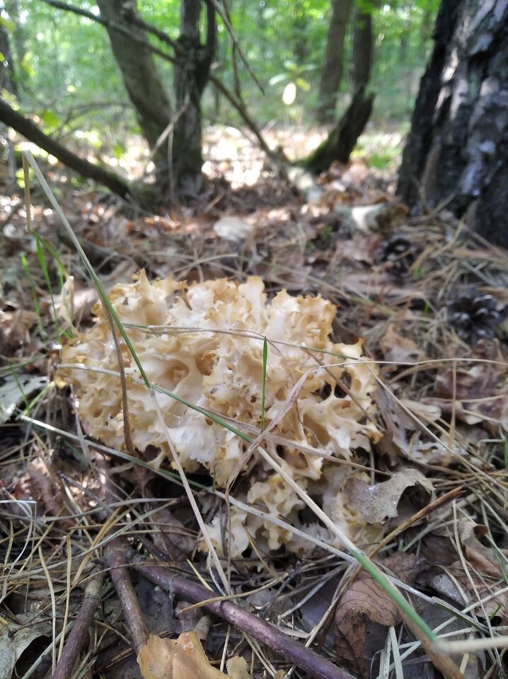 IMG_20210904_160133.jpg - Hard_Rock_Cafe