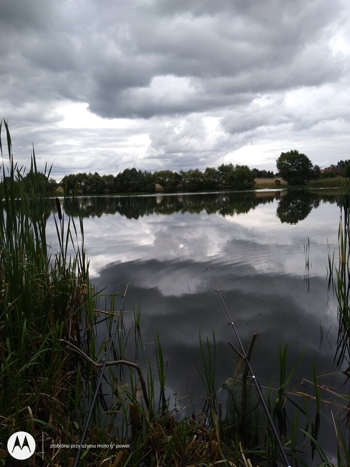 IMG_20210904_122032093.jpg - rafi07