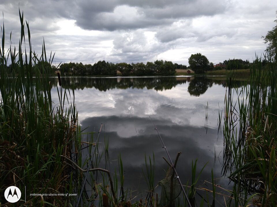 IMG_20210904_122013509.jpg - rafi07