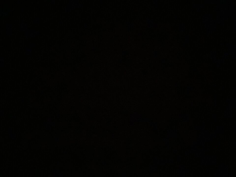 image.jpg - GreatColt