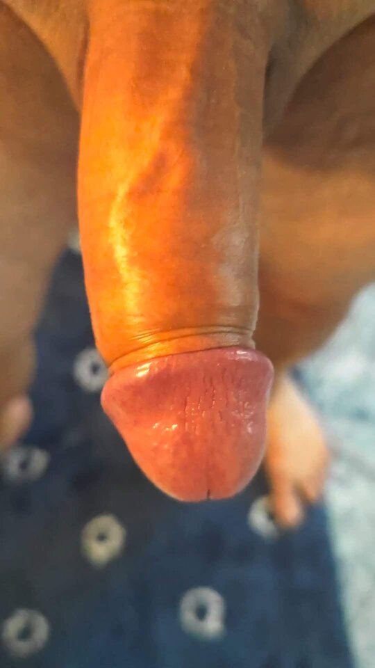 VID_20210716_165706_exported_66.jpg - SciFi