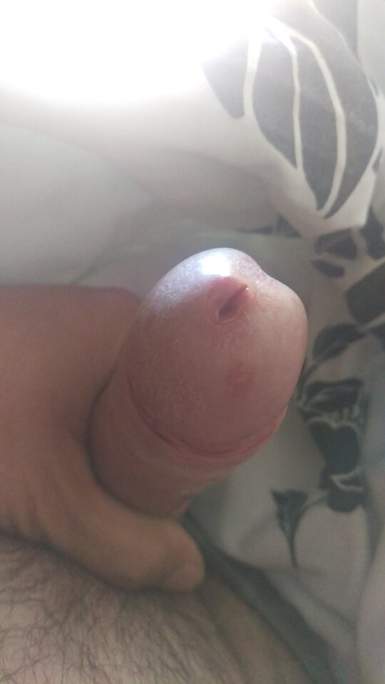 IMAG0199.jpg - Tygryseekp