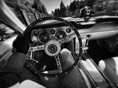 Mustang ❤️