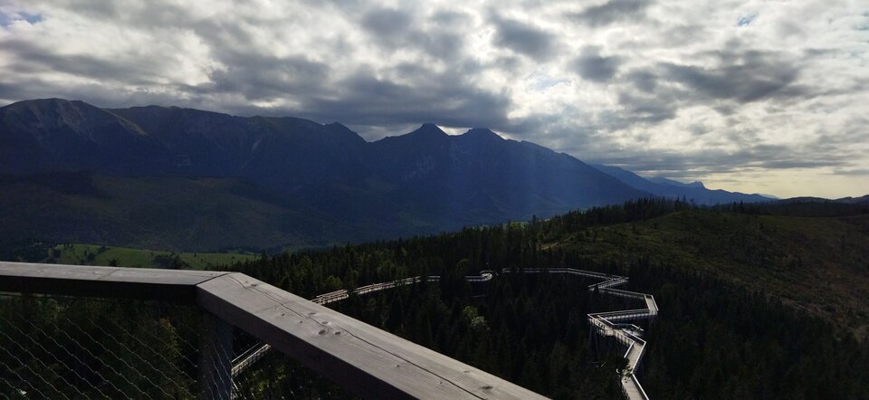 IMG_20210905_161615.jpg - MattVegass