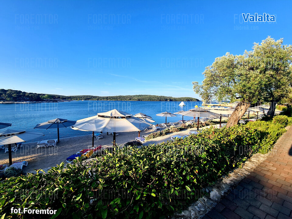 Valalta 2021 rano.jpg - foremtor