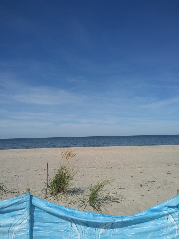 IMG_20210906_124354492.jpg - wawamybi