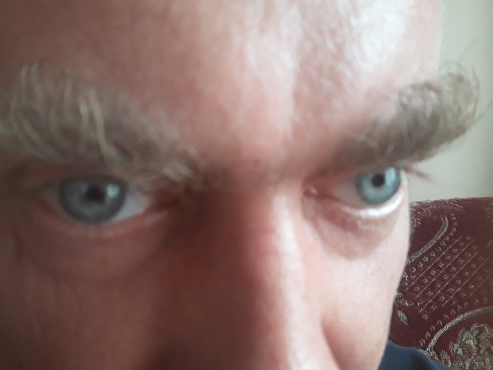 20210626_091502.jpg - CUBUT