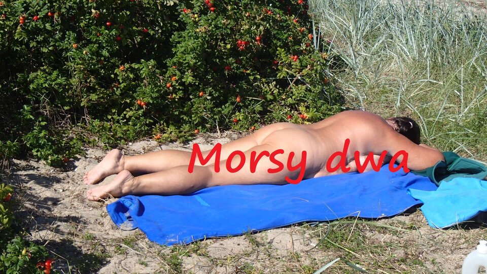 Wrześniowa wyprawa. - Morsy_dwa