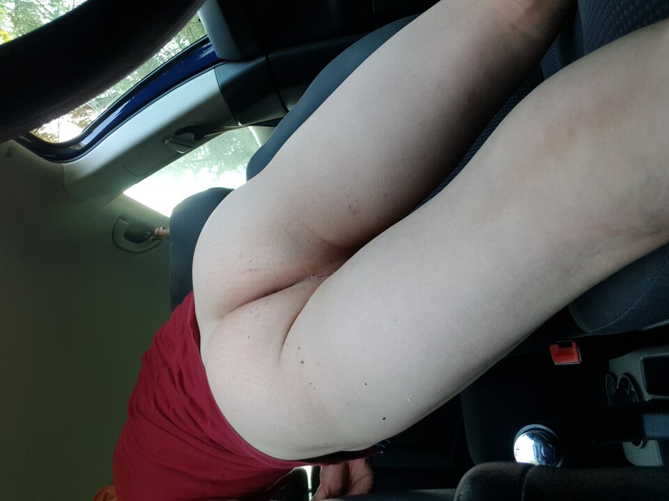 16309473565595047241659243792541.jpg - kojot0202