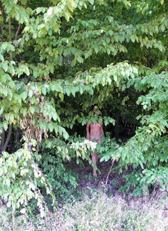 Tu mnie nikt nie zobaczy