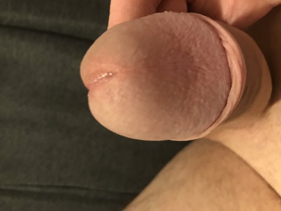 7F073BE4-9B90-4893-BC3A-888EBA7EE4C7.jpeg - Arkady1