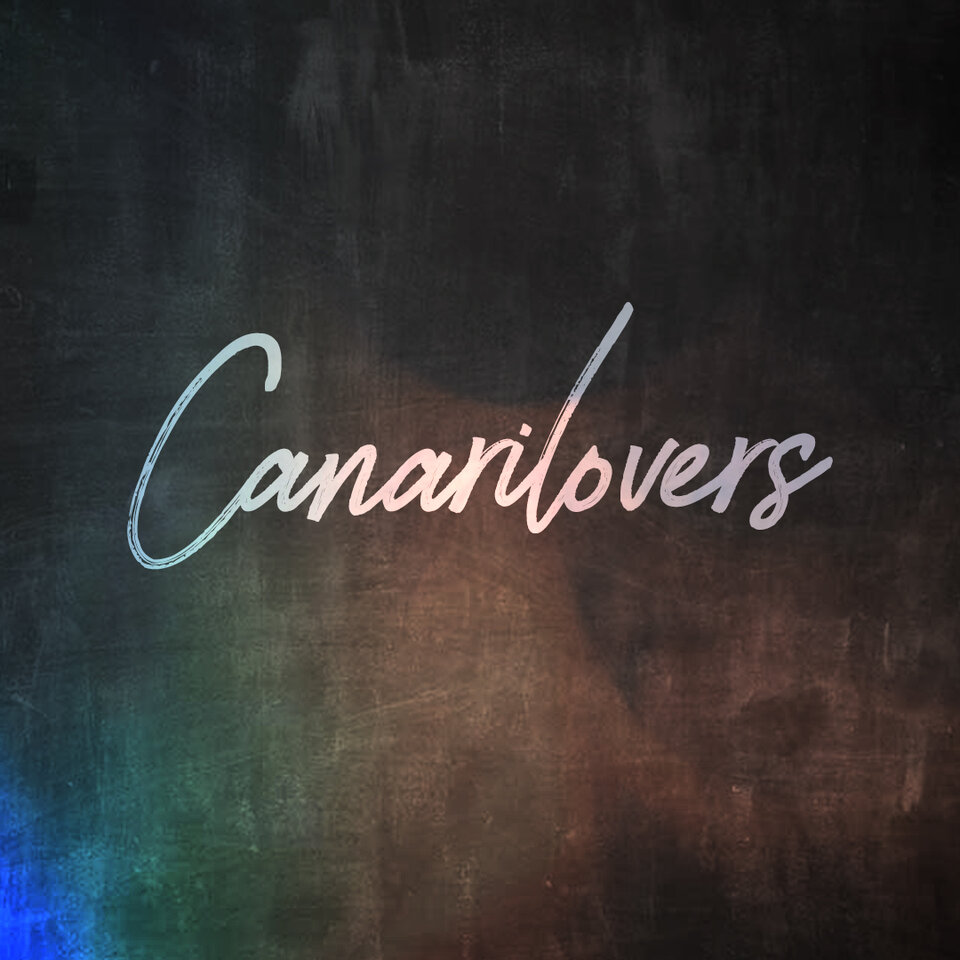 Profilowe - canarilovers