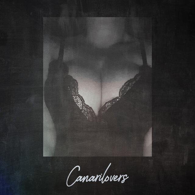 canarilovers