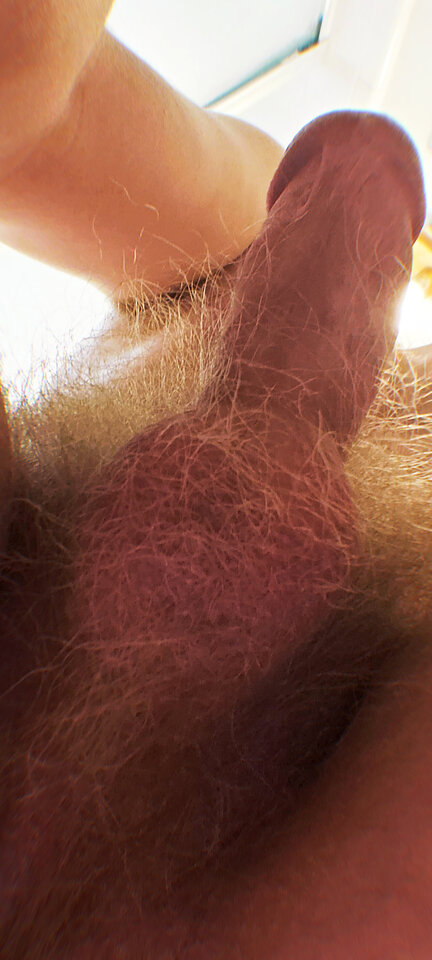 20210908_141847791.jpg - Tomek698107