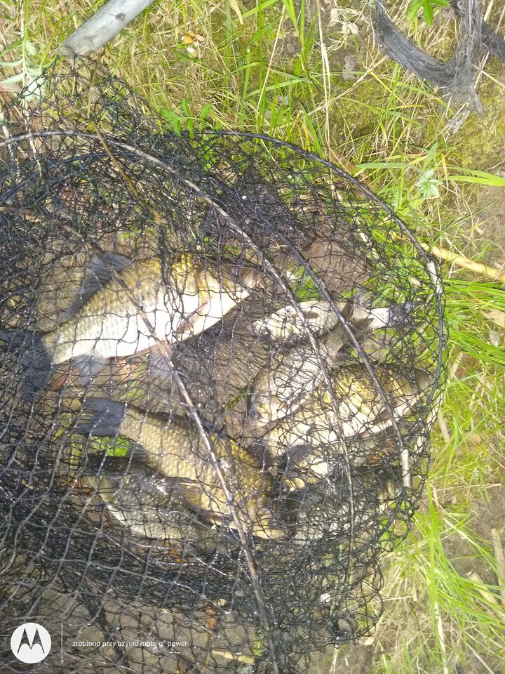 IMG_20210908_190449363.jpg - rafi07