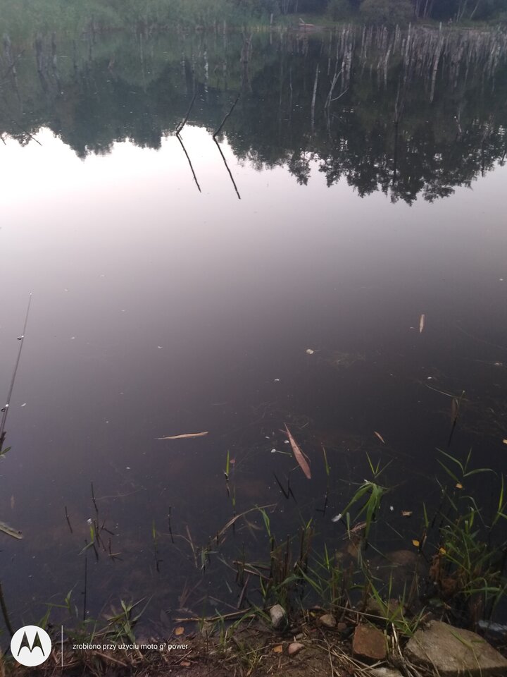 IMG_20210908_190504032.jpg - rafi07