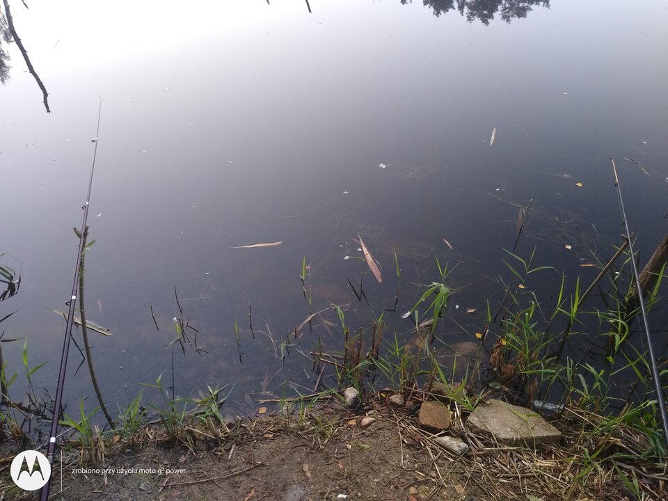 IMG_20210908_190512067.jpg - rafi07